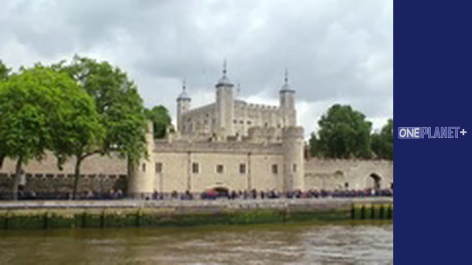 Собственными глазами. - cерия 9