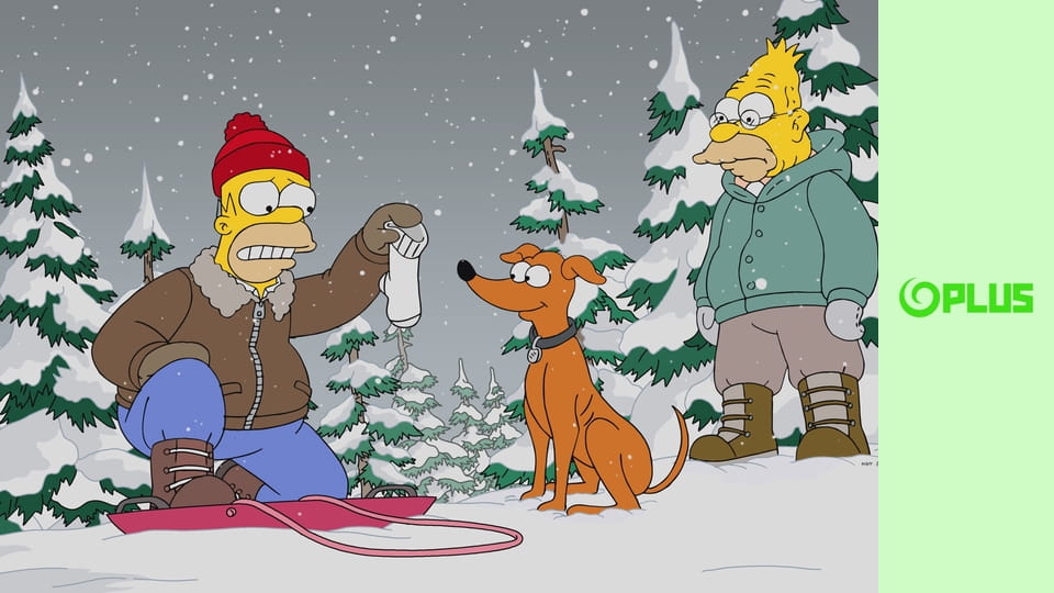 Simpsonovci S29E9 - Zmizelý