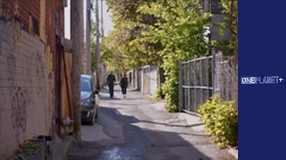 Таемниці Мозку - cерия 5