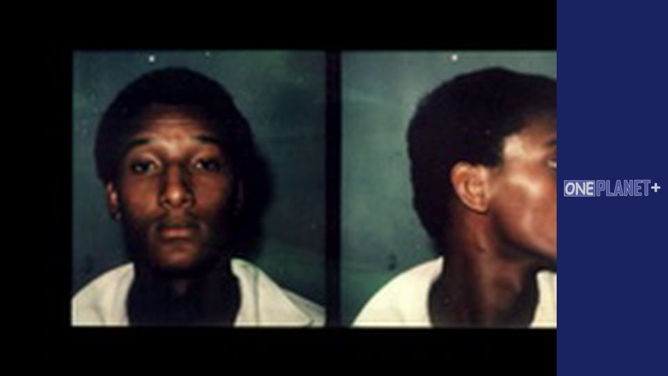 Таемниці Мозку - cерия 5