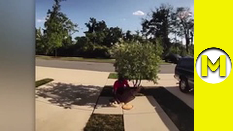 TOP (Max TV) - сезон 3 - серія 26