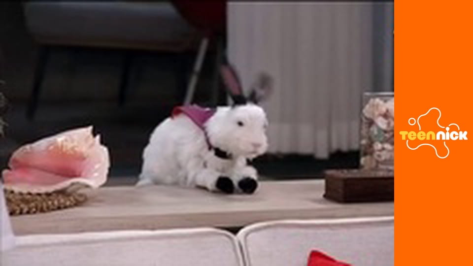 Hunter Street: Kölykök póráz nélkül S3E3 - Vérfagyasztó vihar