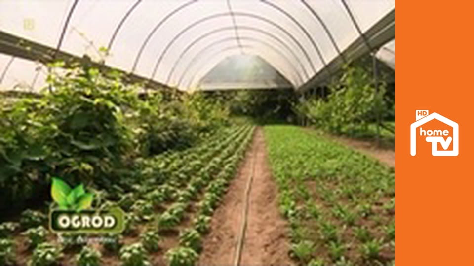 Ogród bez tajemnic S1E33