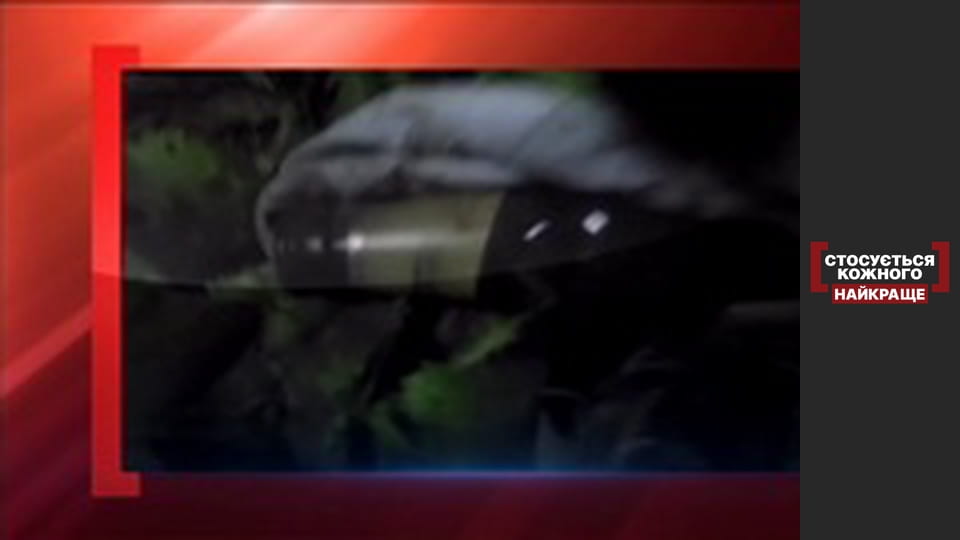 Животное милосердие