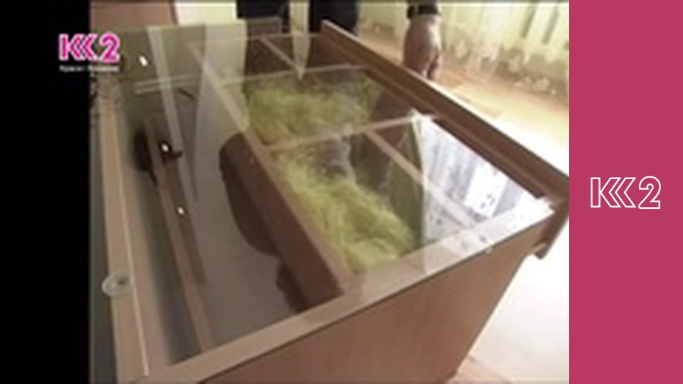 Судові справи E76 - Сувенірні долари