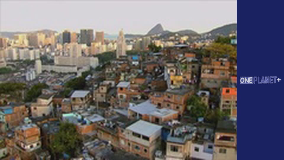 У пошуках знань. - серия 20