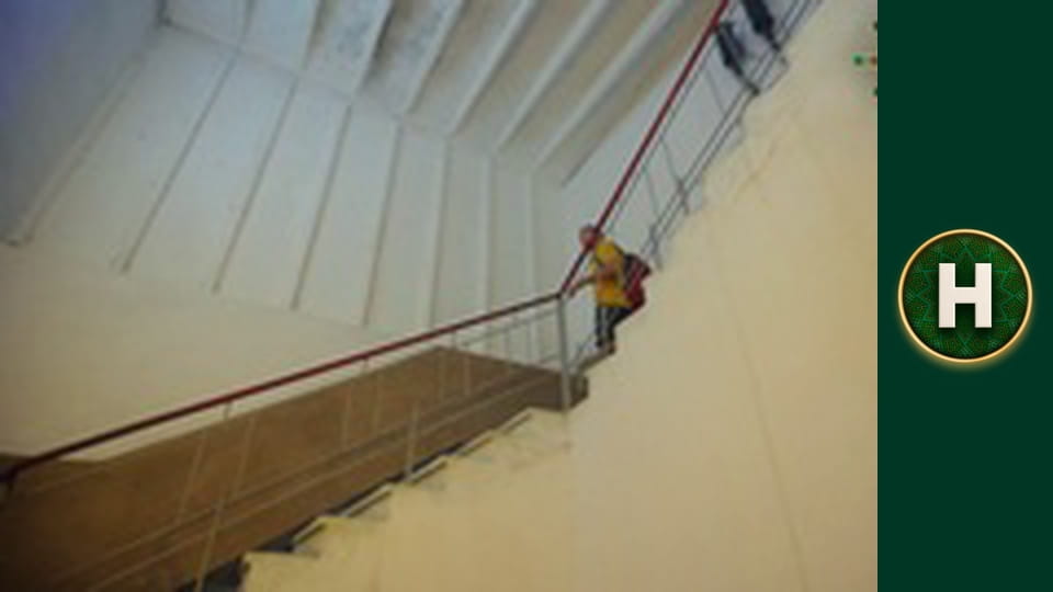 Орел і Решка. Земляни