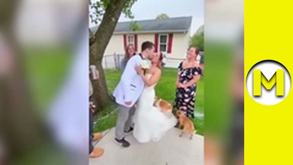 Max TV - сезон 1 - серія 107