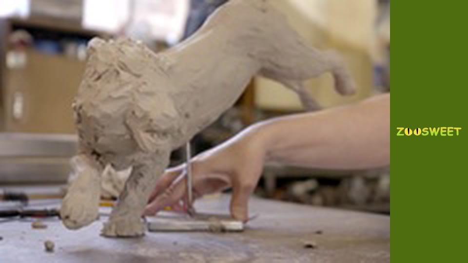 Дикі забави Сан-Дієго - серія 20