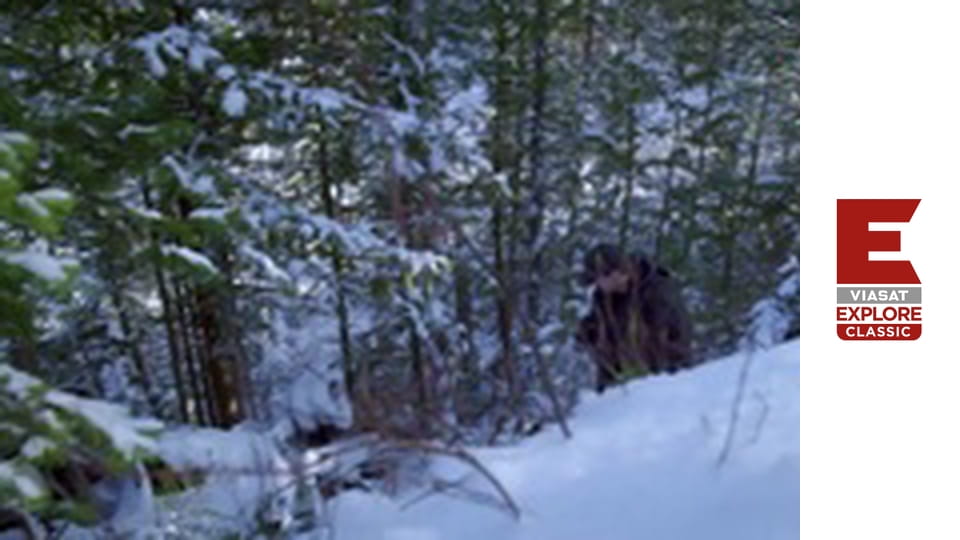 Отчаянные дальнобойщики - Пора поторопиться