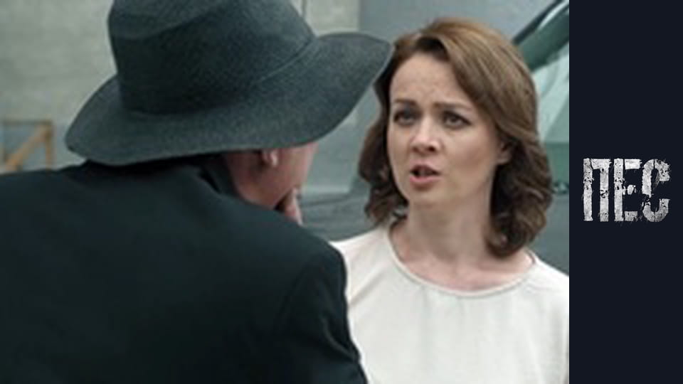 Пёс, Сезон 6, Серия 7