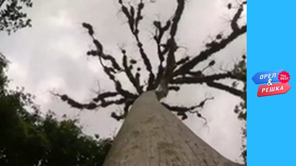 100 долларов, Выпуск 36