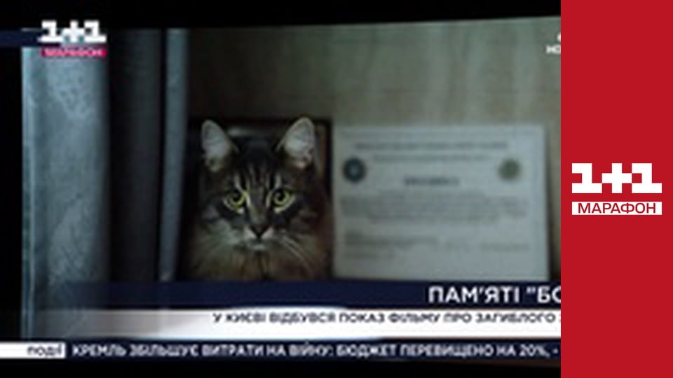 "Єдині новини". Телемарафон.