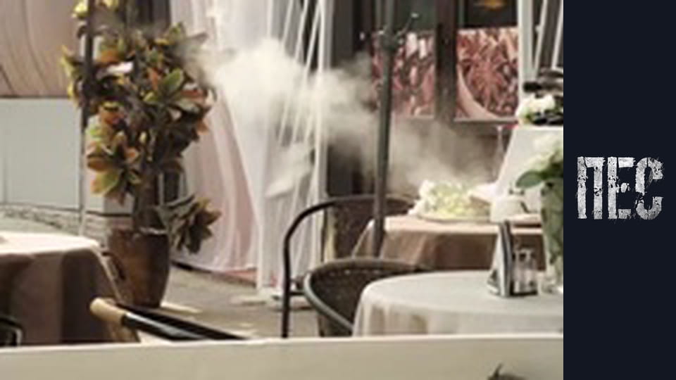 Dog, Season 2, Episode 4