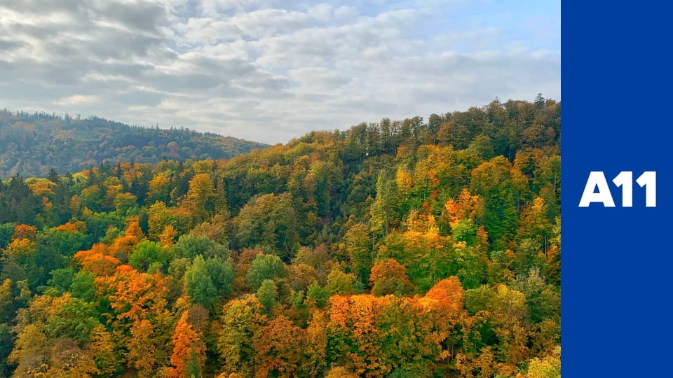 Týden ze západu Čech