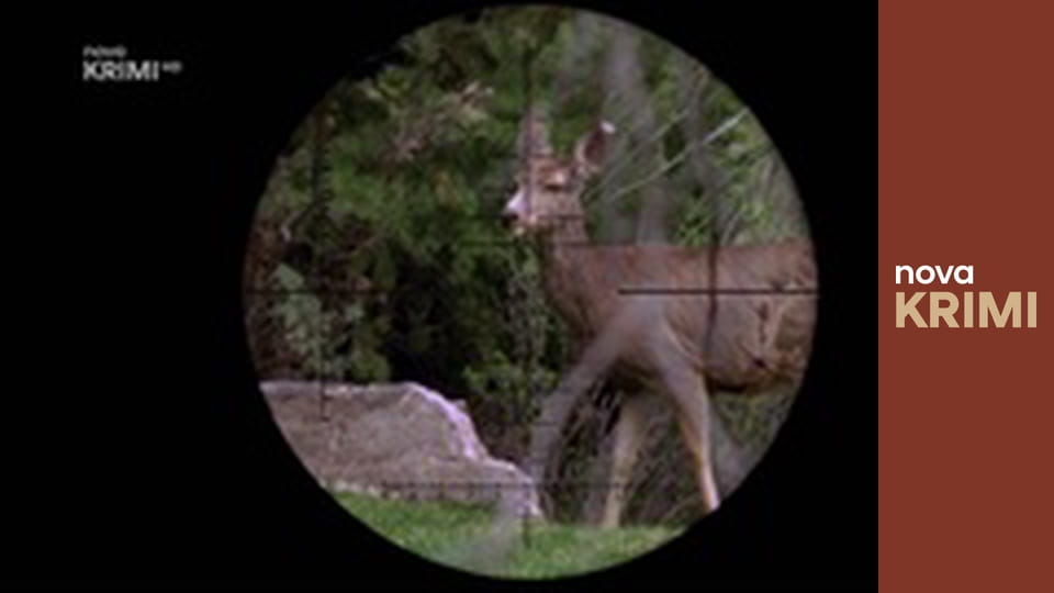 Myšlenky zločince S12E17