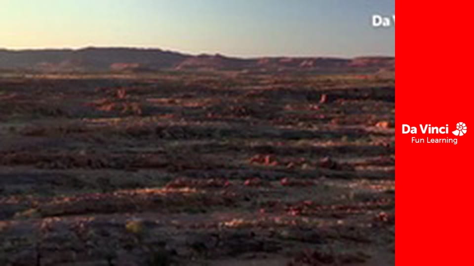 Сіяя - Рушайте з нами - Дуже шумне місце