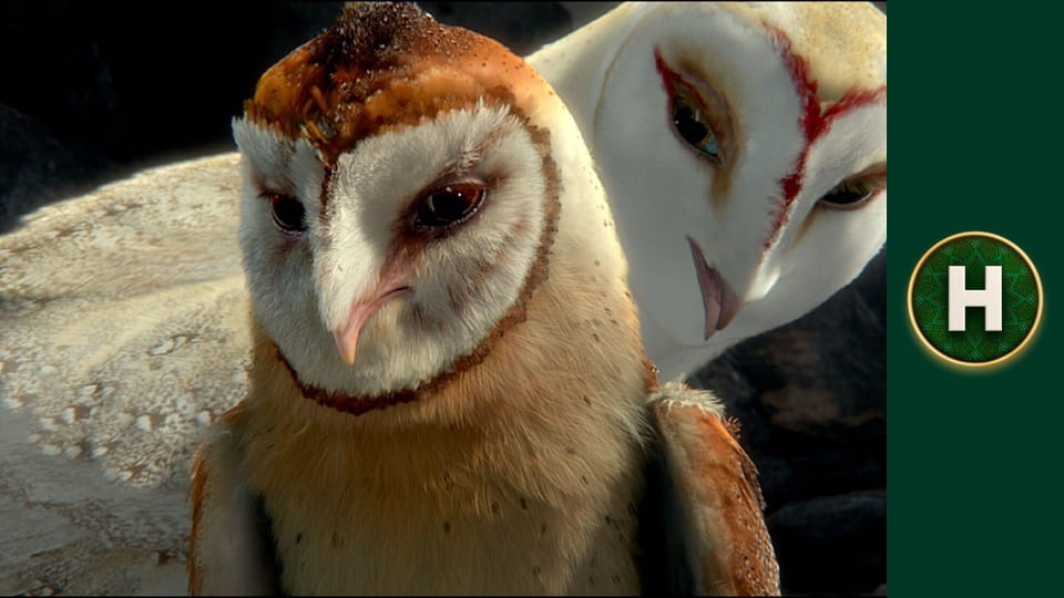 Легенди нічної варти