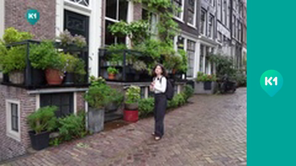 "Світ_огляд з Машею Себовою".