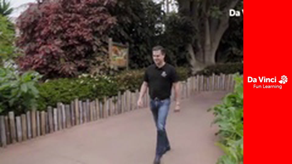 Посольство животных - День из жизни Рафы.