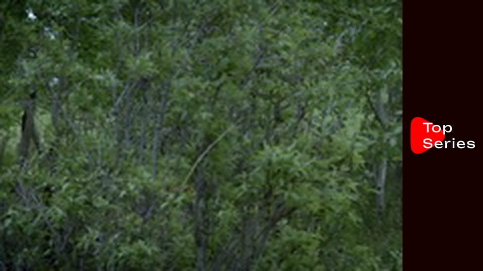 Hell on Wheels - Jamais je ne t'oublierai