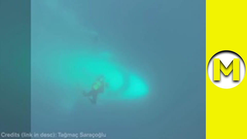 Max TV - сезон 1 - серія 127