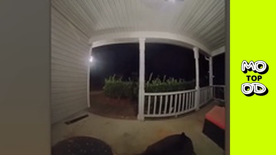 TopMood - Episode 17