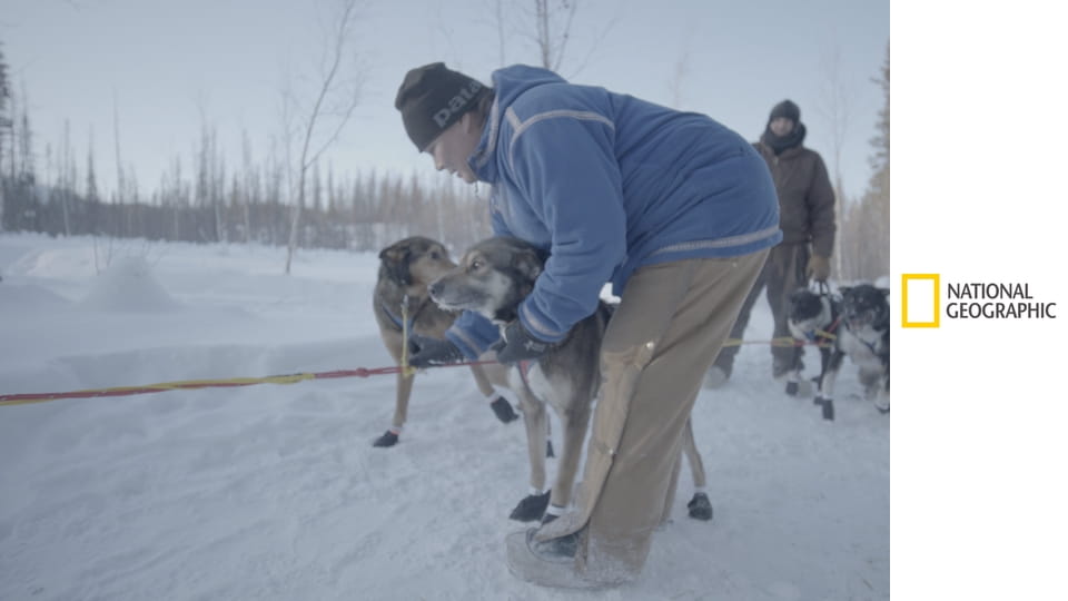 Коренные жители Аляски S3E17 - Сезон охоты