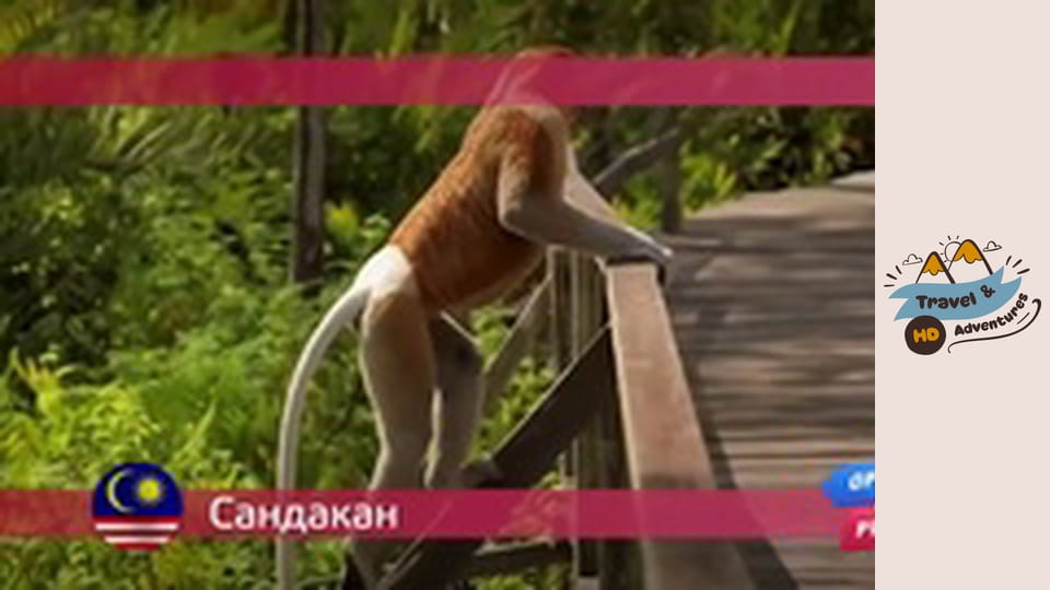 Travel & Adventures, Sandakan