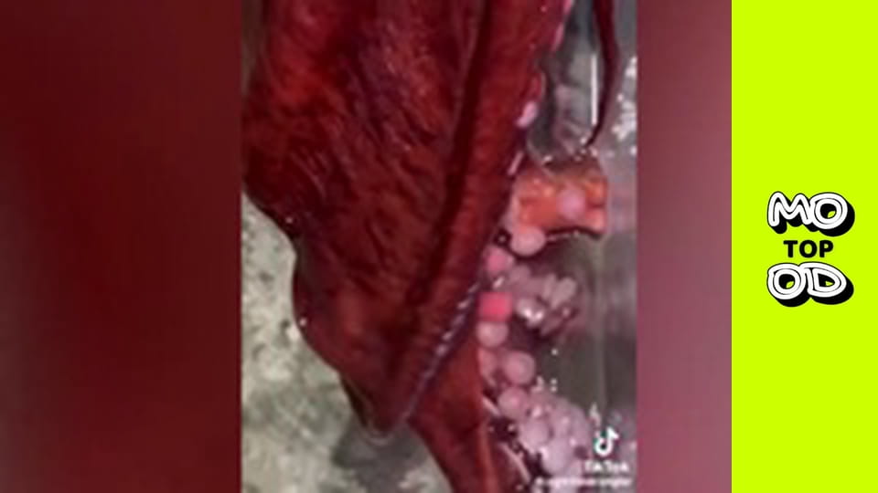 Top Mood, Сезон 2, Випуск 48