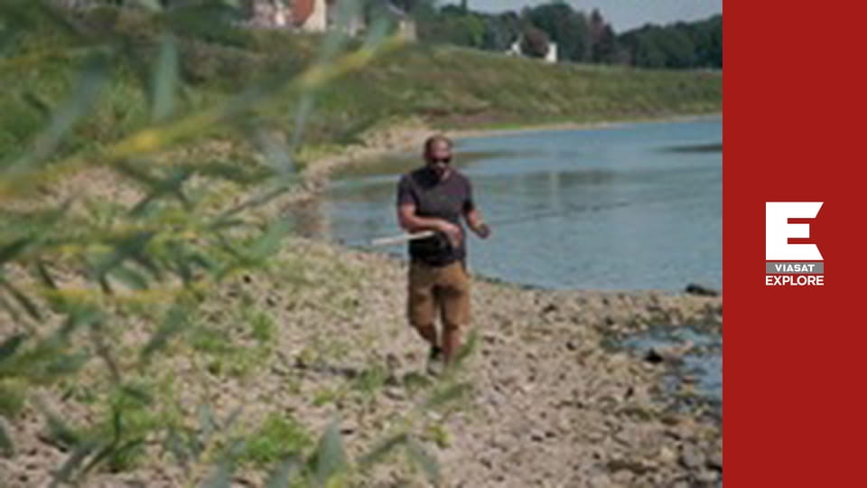 Чудовищный карп - Голландия