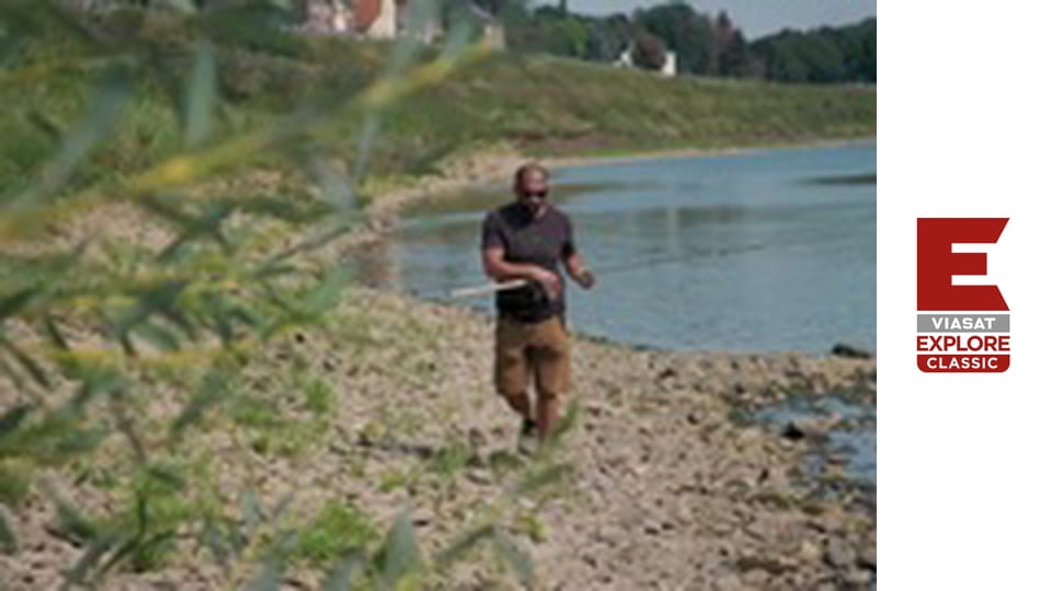 Monster Carp - Holland