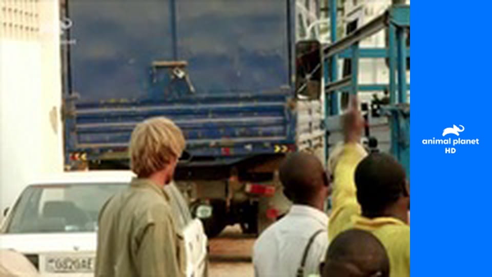 Охота на крупную рыбу S1E3 - Европа