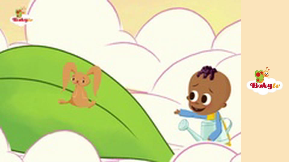 Charlie & the Numbers