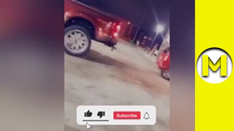 Max TV - сезон 1 - серія 112