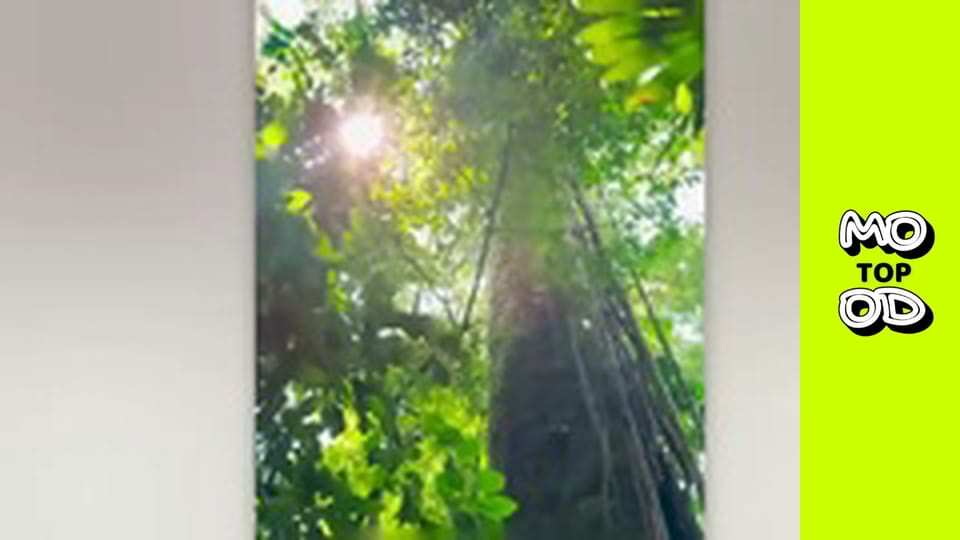 TopMood Сезон 2 Епізод 141