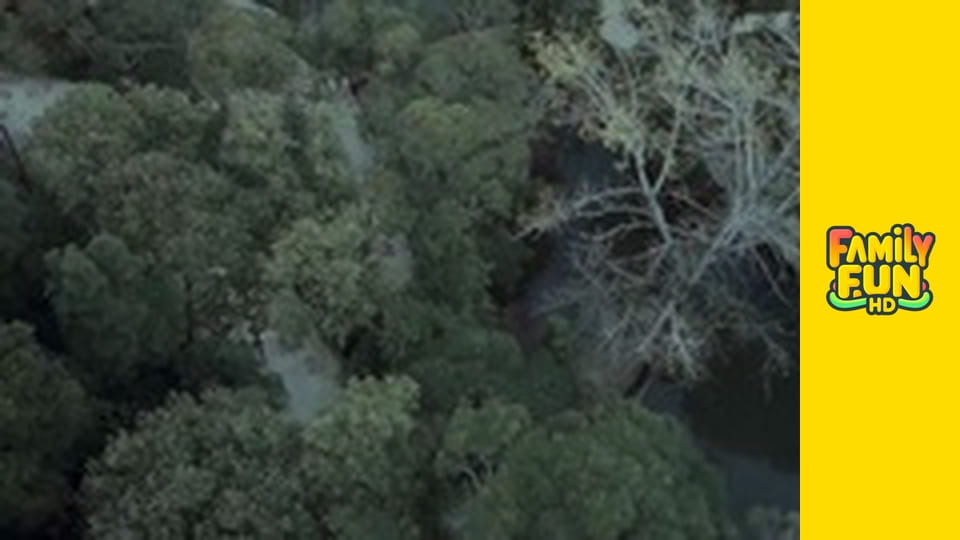 The Curse of Sleeping Beauty