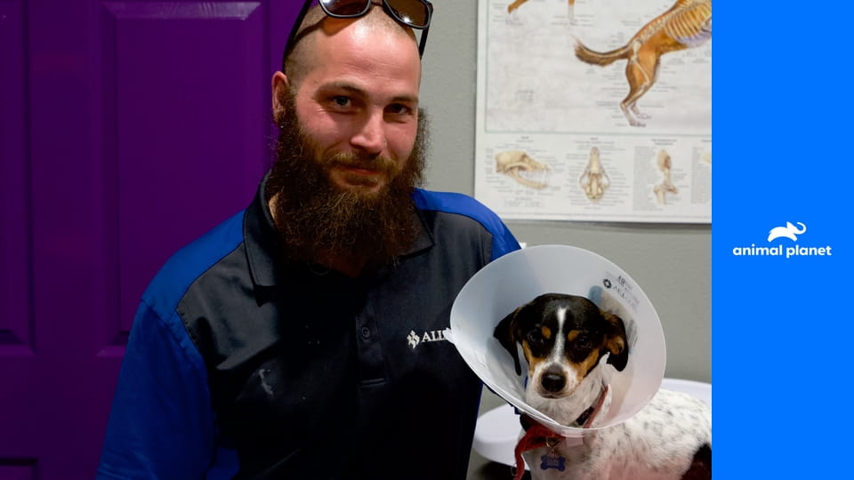 Dr. Jeff: Veterinář ze Skalnatých hor S3E2