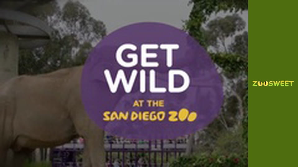 Дикі забави Сан-Дієго - серія 21