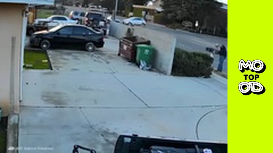 Look Up Show Сезон 3 Епізод 6