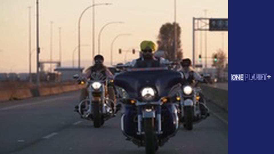 With my own eyes. - episode 12