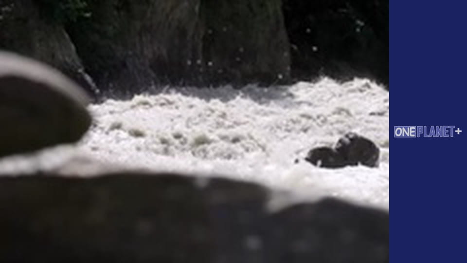 У пошуках знань. - серия 3