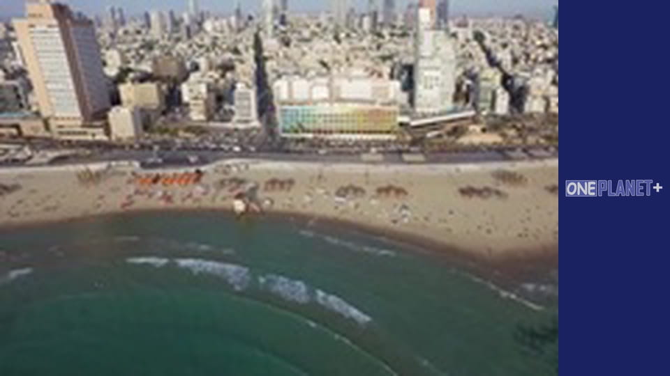 Собственными глазами. - cерия 10