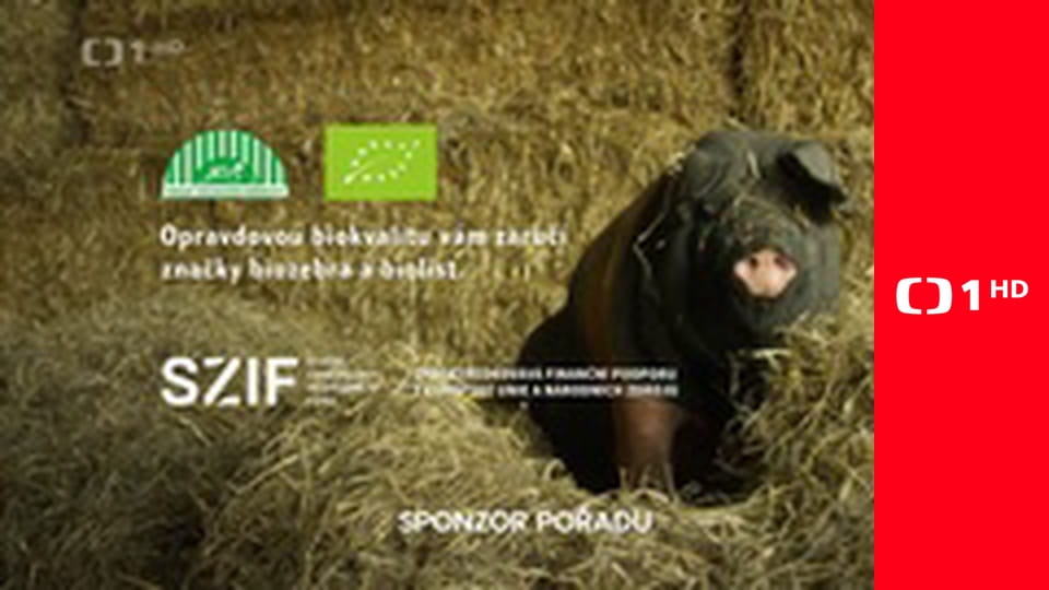 Každý den se rodí život - Květen