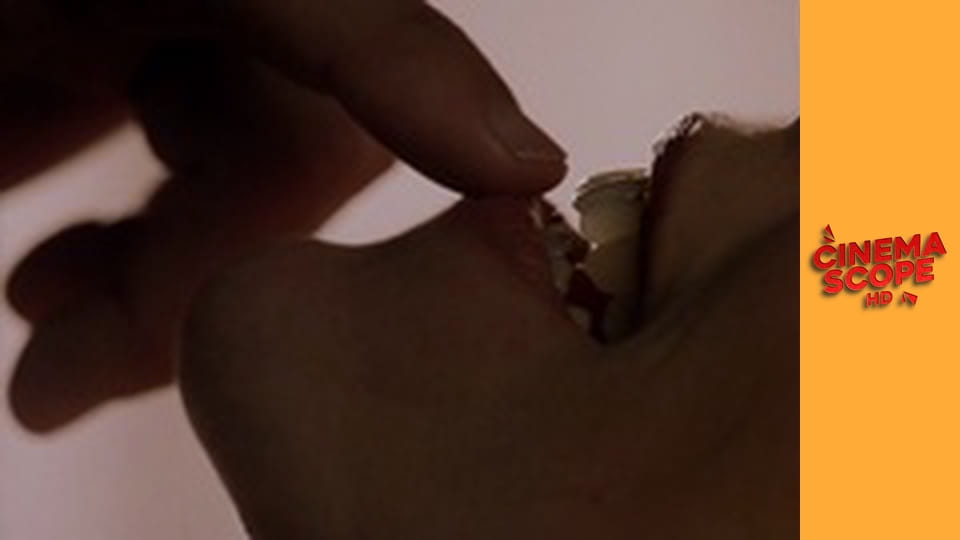 Sex, Lies & Obsession