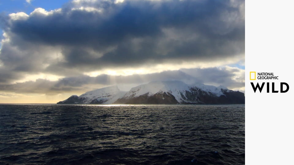 Холодные острова S1E1