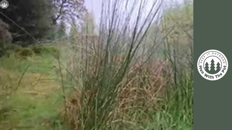 Big Beef Balls Sandwich