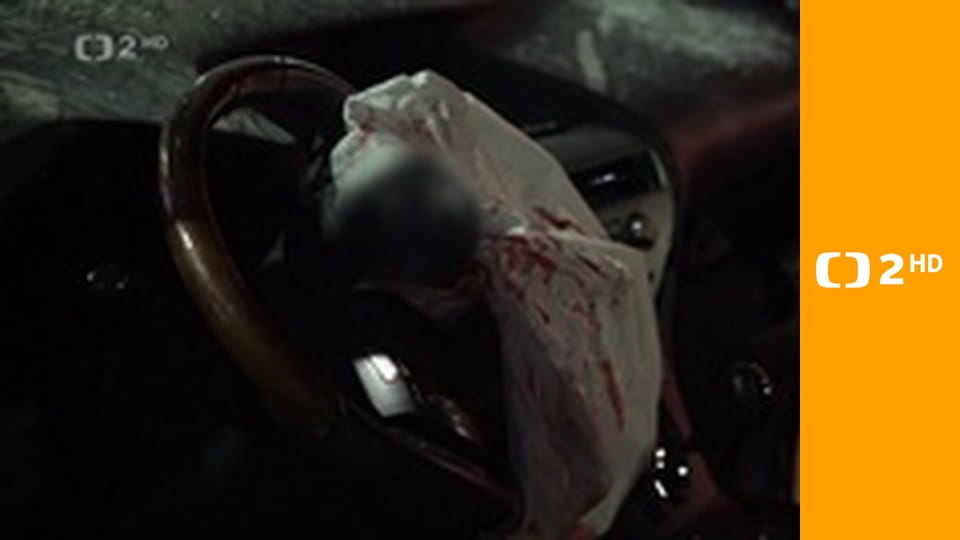 Paparazzi, lovci senzací