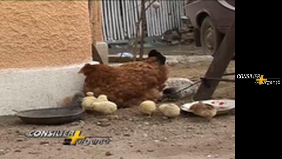 Emergency Advisor - Episode 21