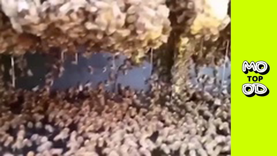 TopMood Сезон 4 Епізод 4